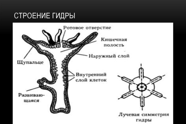 Кракен тор