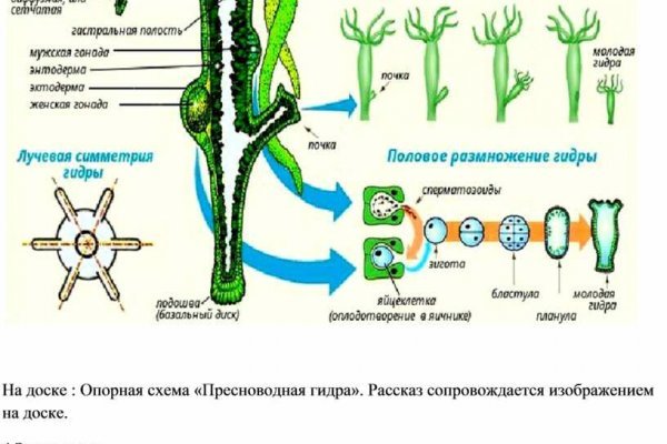 Kraken магазин ссылка