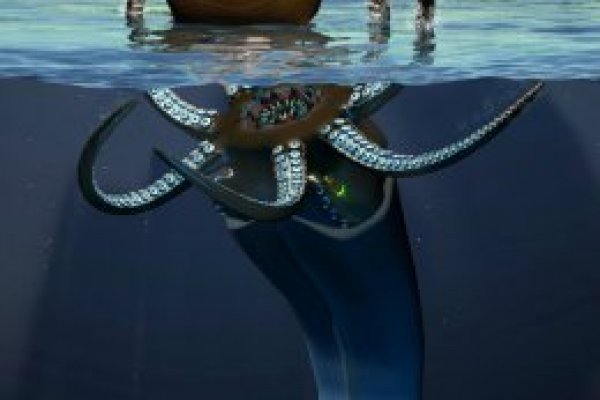 Kraken kraken dark link
