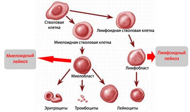 Кракен это сайт что продают